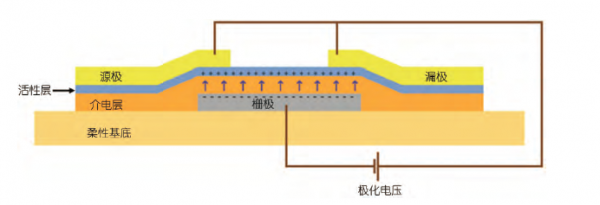 智能电子设备什么是智能电子设备？的最新报道(图2)